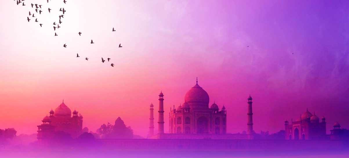 Best of India Tour