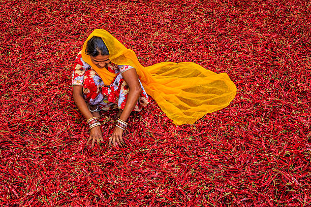 Golden Triangle India