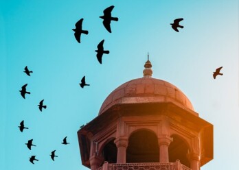 Golden Triangle Tour