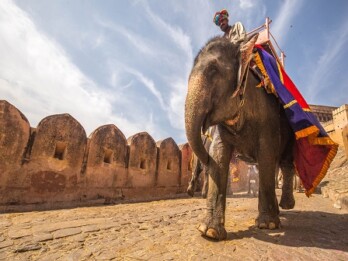 Jaipur Tourism